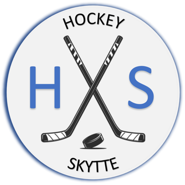 Hockey Statistics Logo
